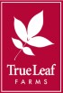 True Leaf